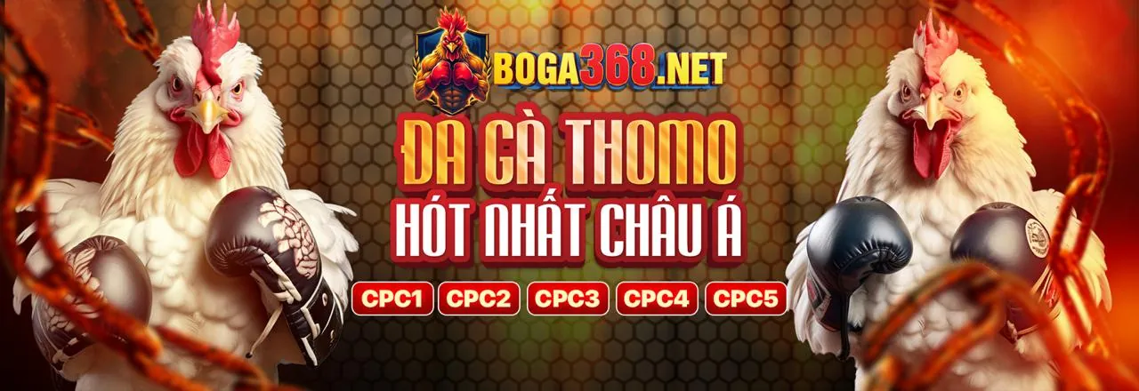Đá gà trực tuyến kịch tính tại FB88