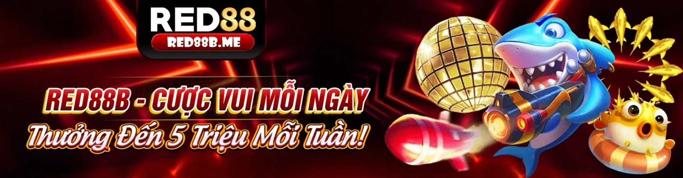 Hình ảnh minh họa các quy tắc và luật chơi công bằng trong cá cược thể thao và casino trên Trang chủ FB88